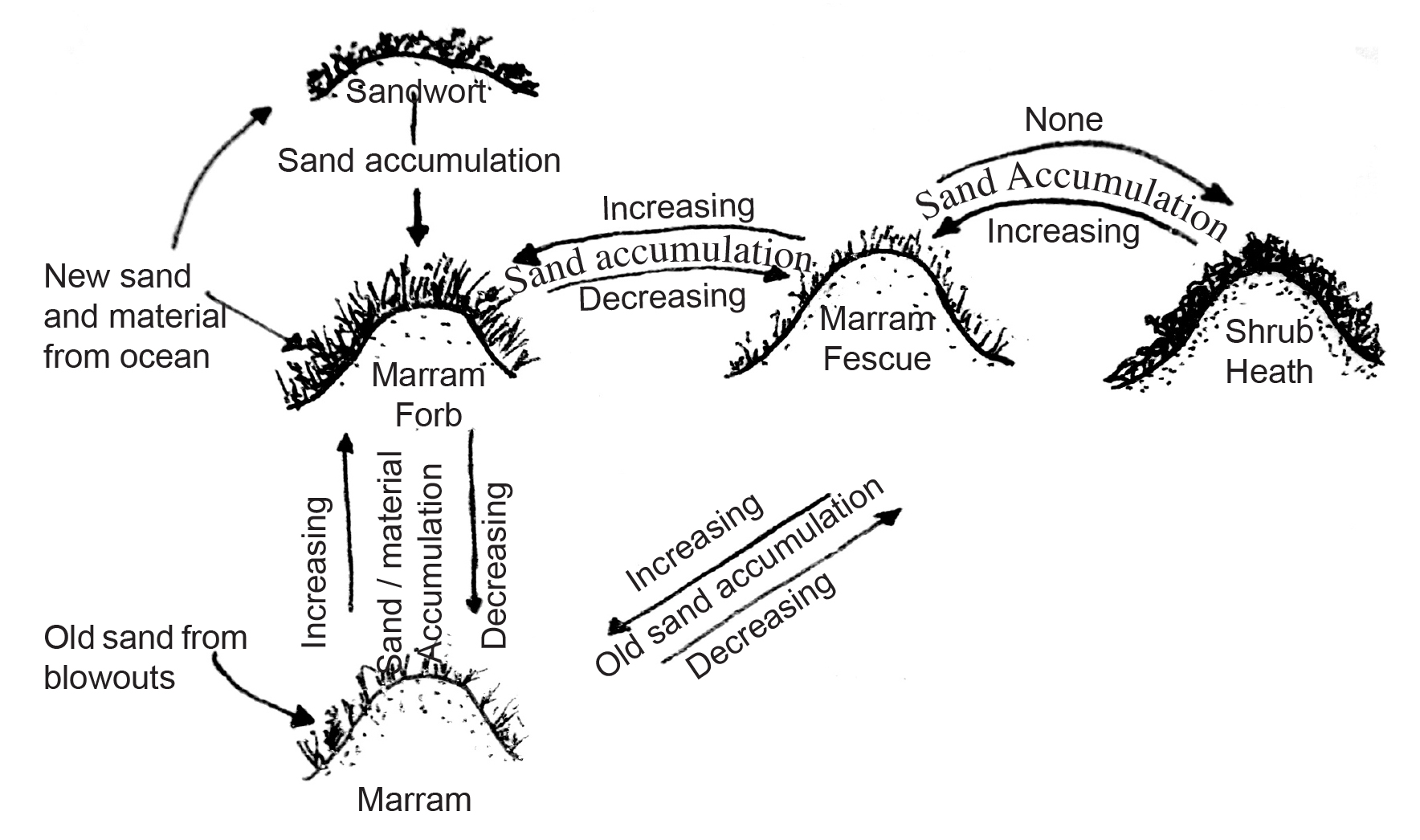 cycle diagram 1